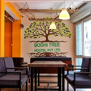 Bodhi Tree Hostel